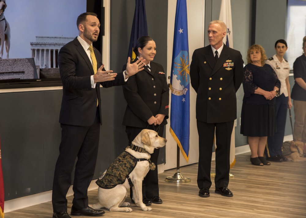 Sully becomes Navy dog 280219 CREDIT US Navy
