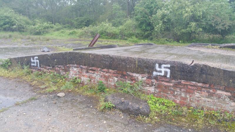 Swastikas sprayed by D-Day veterans' bench at Twyford Woods Credit Lincolnshire Police 100619