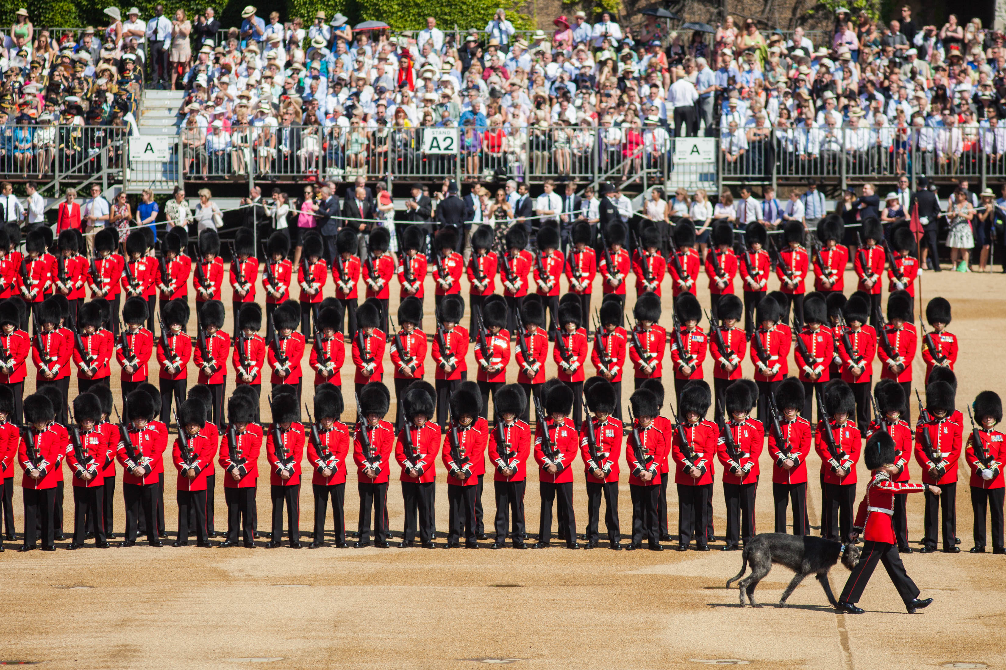 The Irish Guards get ready for the Queen's 2017 Birthday Parade - Anonymous 170617 CREDIT MOD