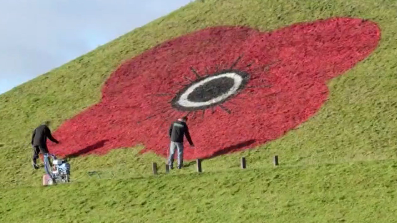 The M8 motorway poppy display was created by Poppy Scotland (Picture: Poppy Scotland).