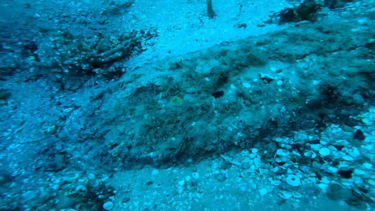 The Royal Navy identified it as a German-made SC500 bomb credit Guernsey Police Twitter.jpg