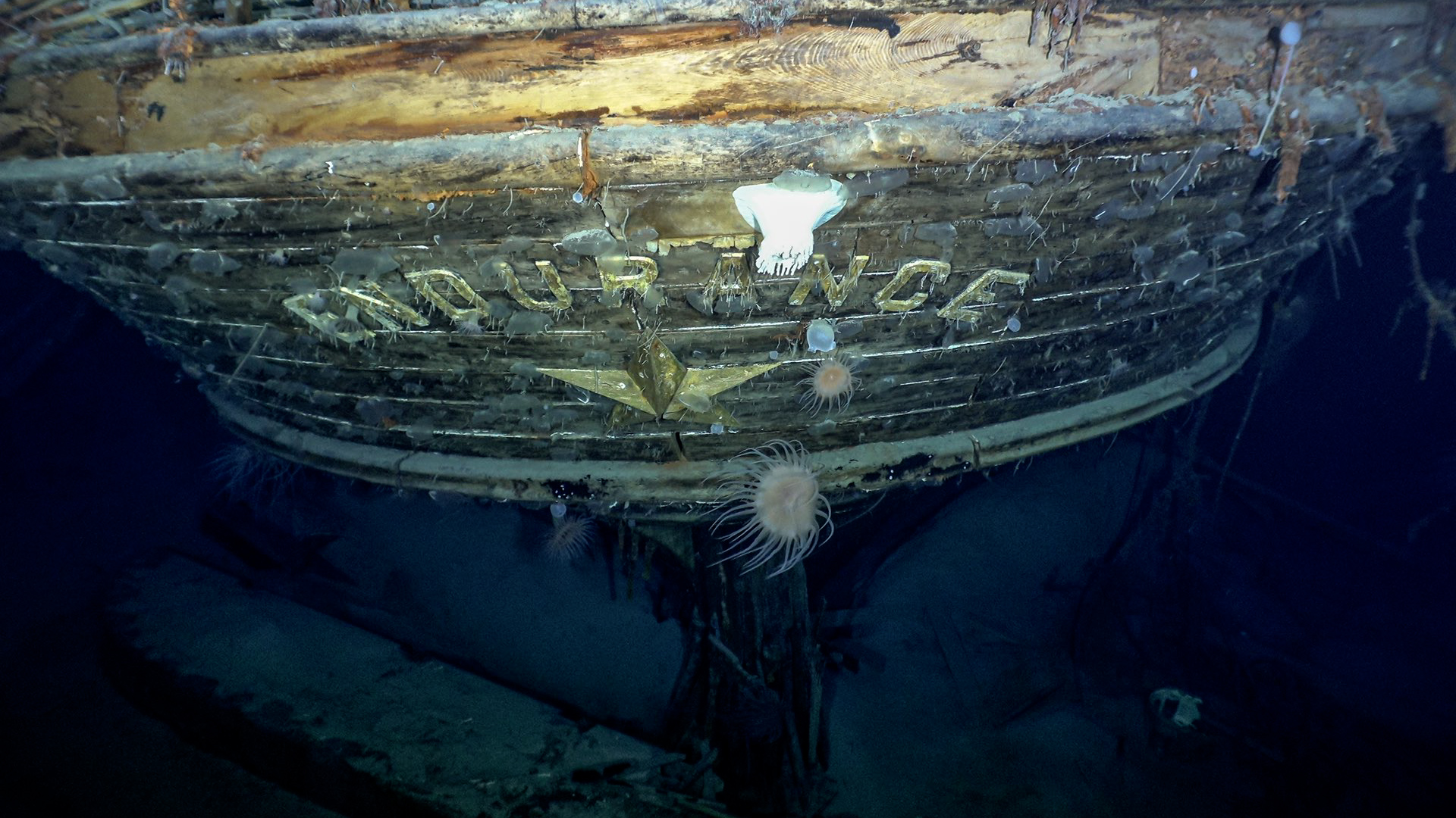 The shipwreck of Sir Ernest Shackleton's ship Endurance found 107 years after her sinking (Picture: Falklands Maritime Heritage Trust/National Geographic).