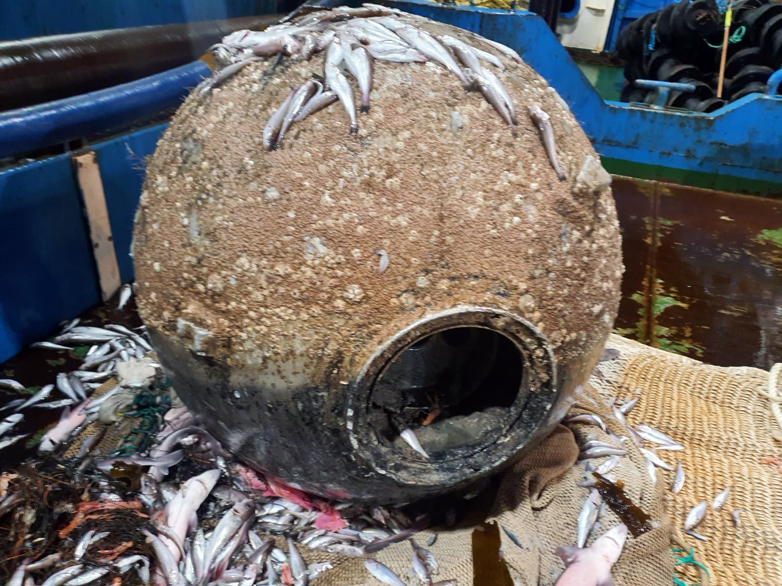 Recovered mine in Clyde. Credit Royal Navy