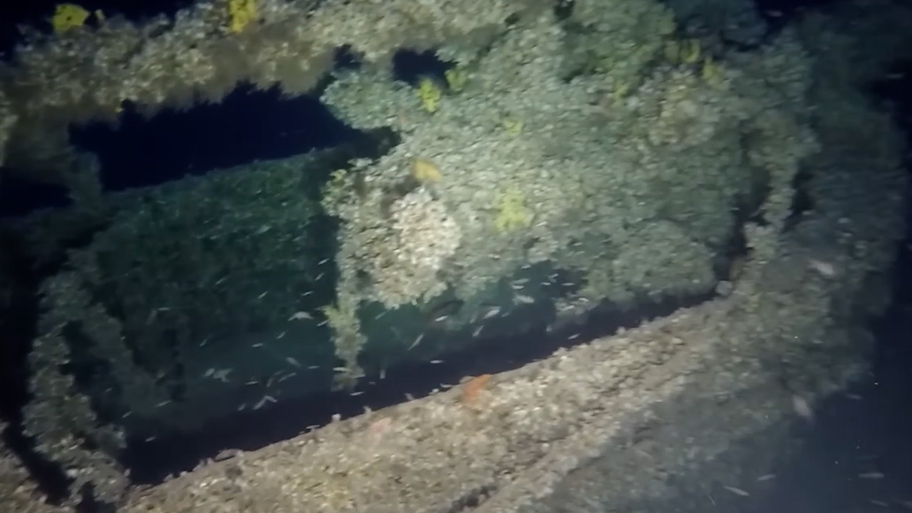 The submarine went missing in 1942 whilst on a special operation (Picture: Rovservices.gr).