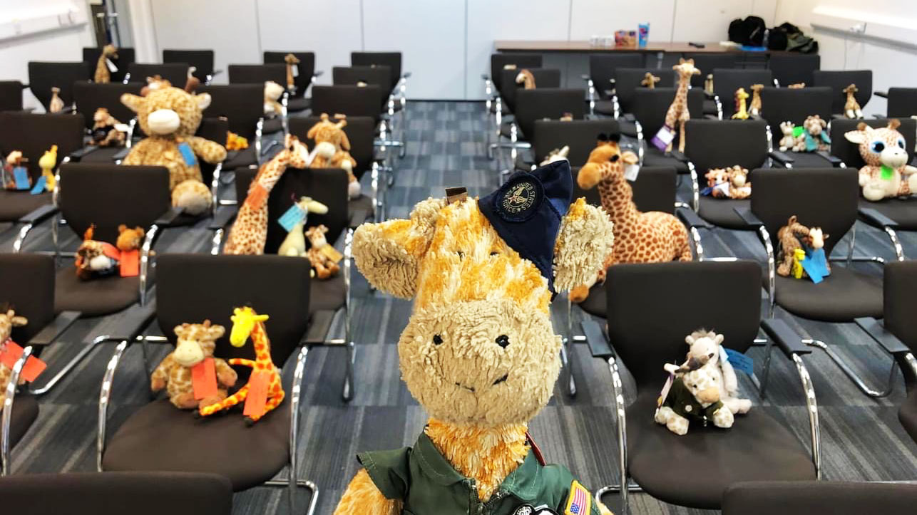 The teddy giraffes wait to board Flight Giraffe291 at RAF Brize Norton on 19 April 2023 CREDIT RAF