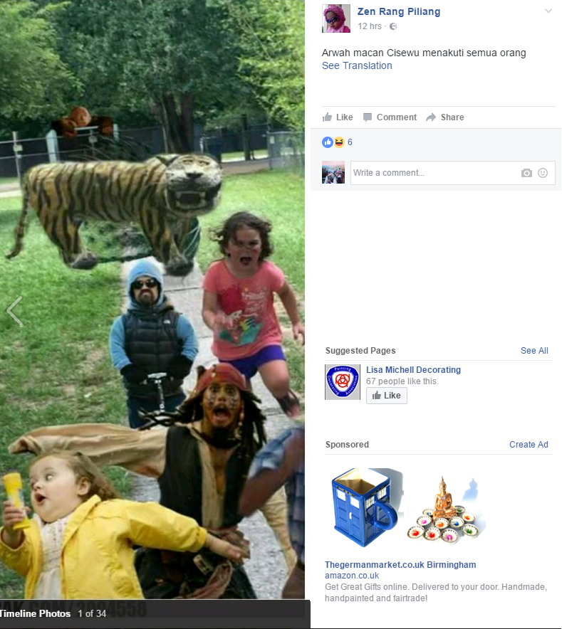 Tiger Meme