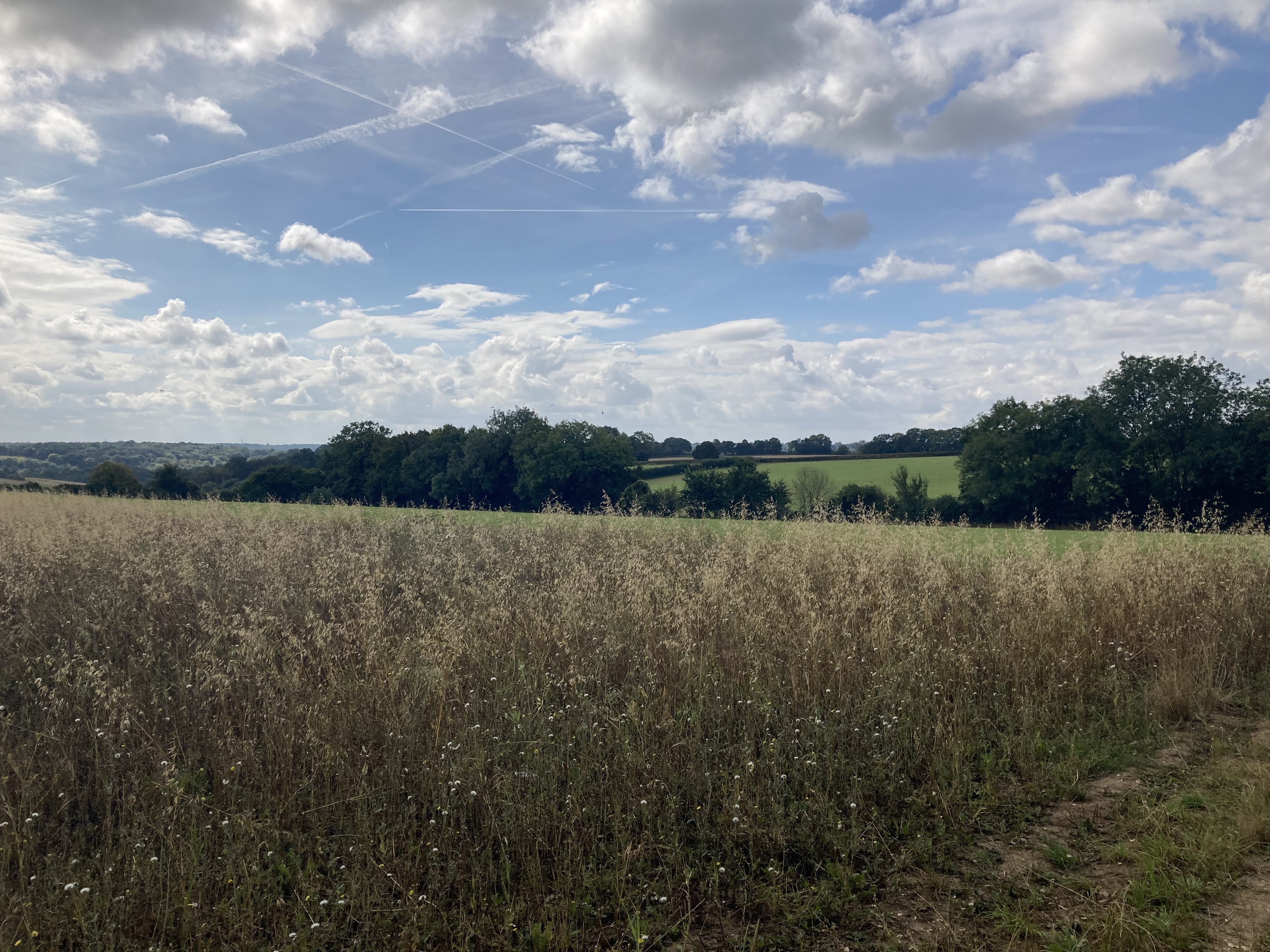 Tomahawk Warrior crash site