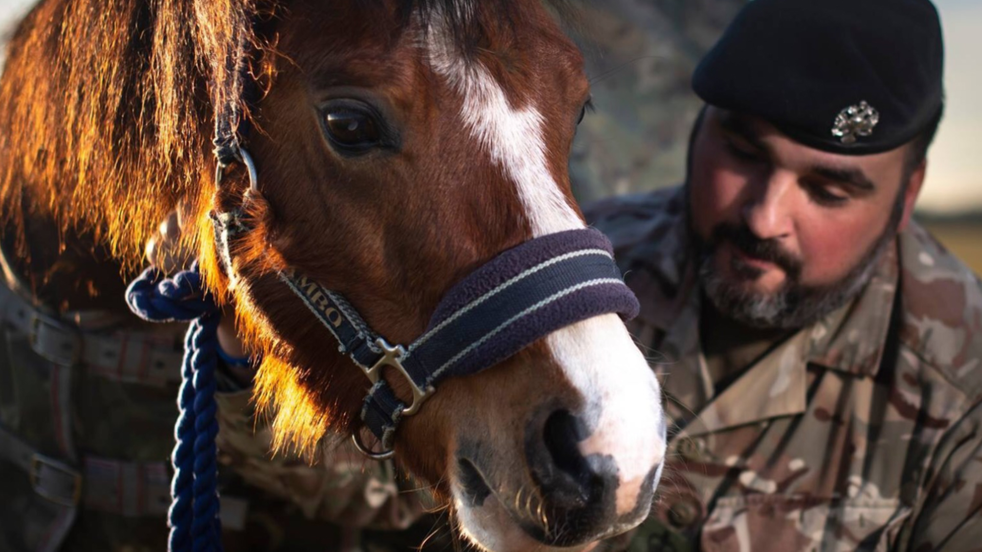 Trooper Jones is the new of 1st The Queen's Dragoon Guards.