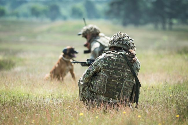 British troops on Sennelager range