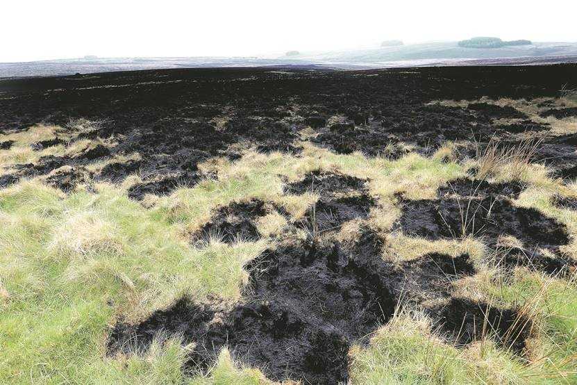 Troops and firefighters spent nearly eight hours battling the fire (Picture: Wales News Service).