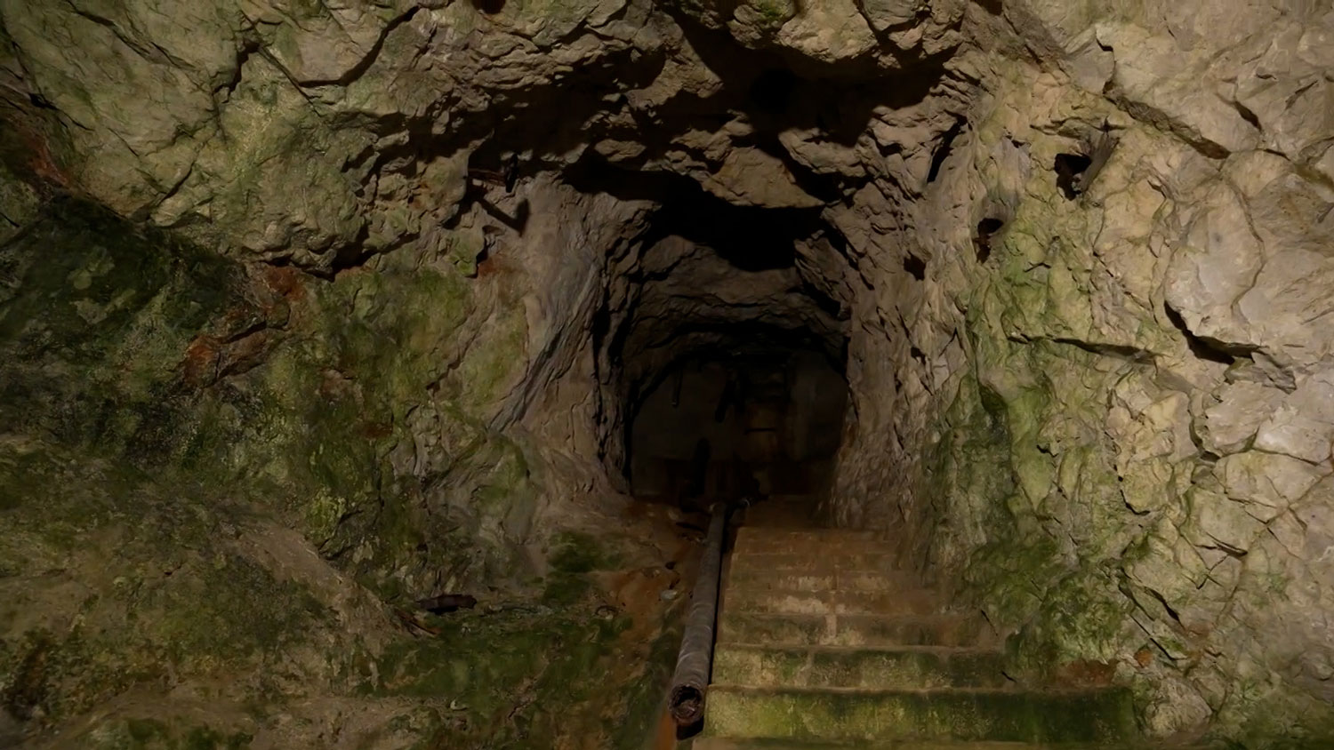 A tunnel in the Rock of Gibraltar 2 CREDIT BFBS