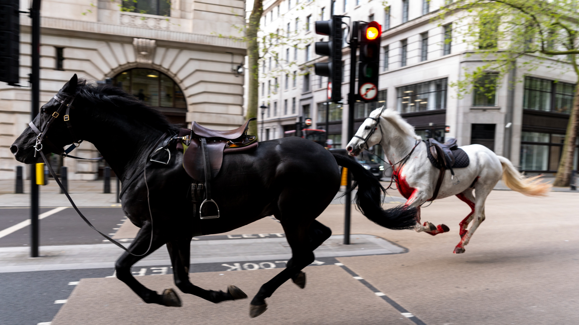 The soldiers were injured after being thrown off their horses that then charged alone through London streets 
