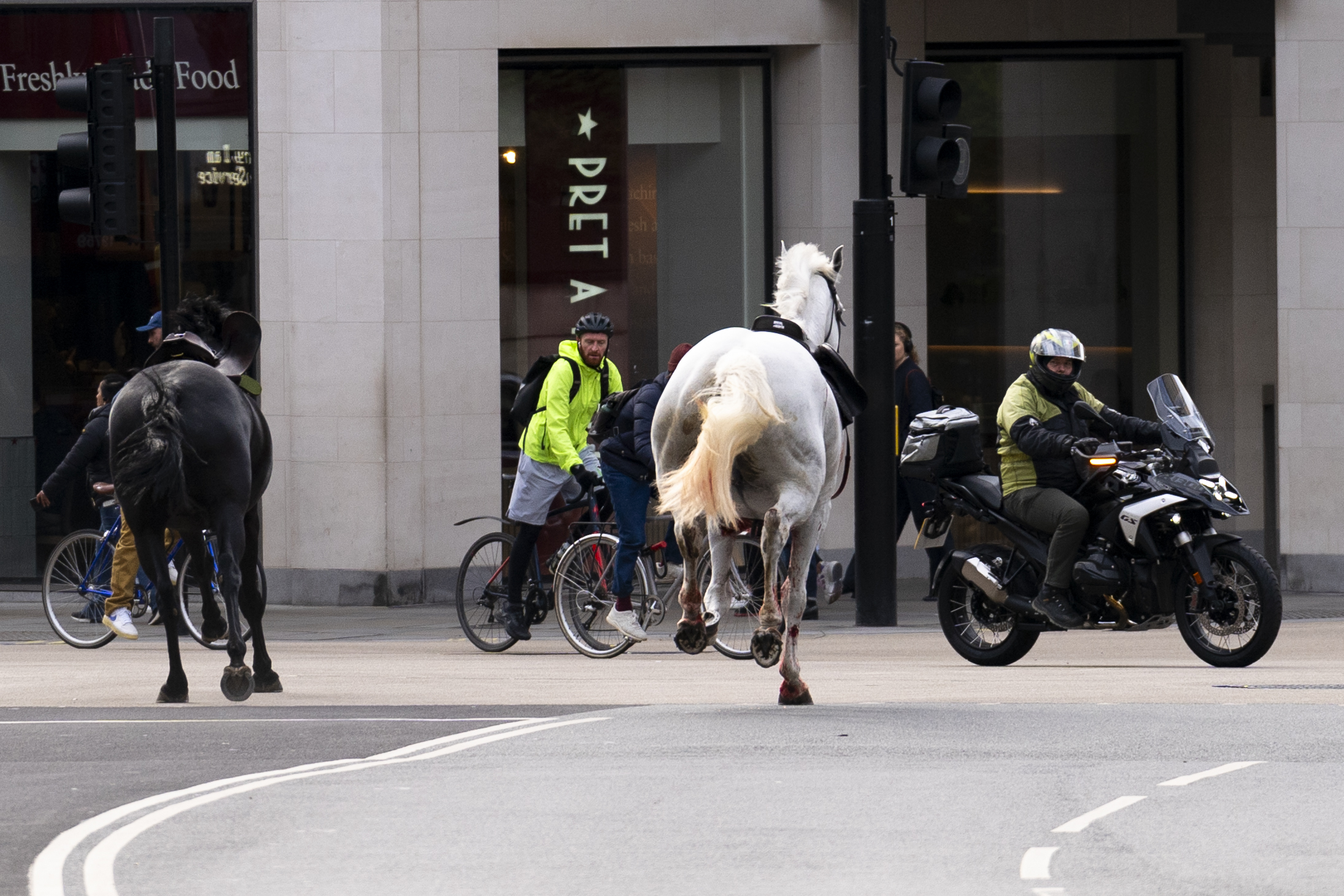 Vida bolts through the streets of London (Picture: Jordan Pettitt/PA Wire)