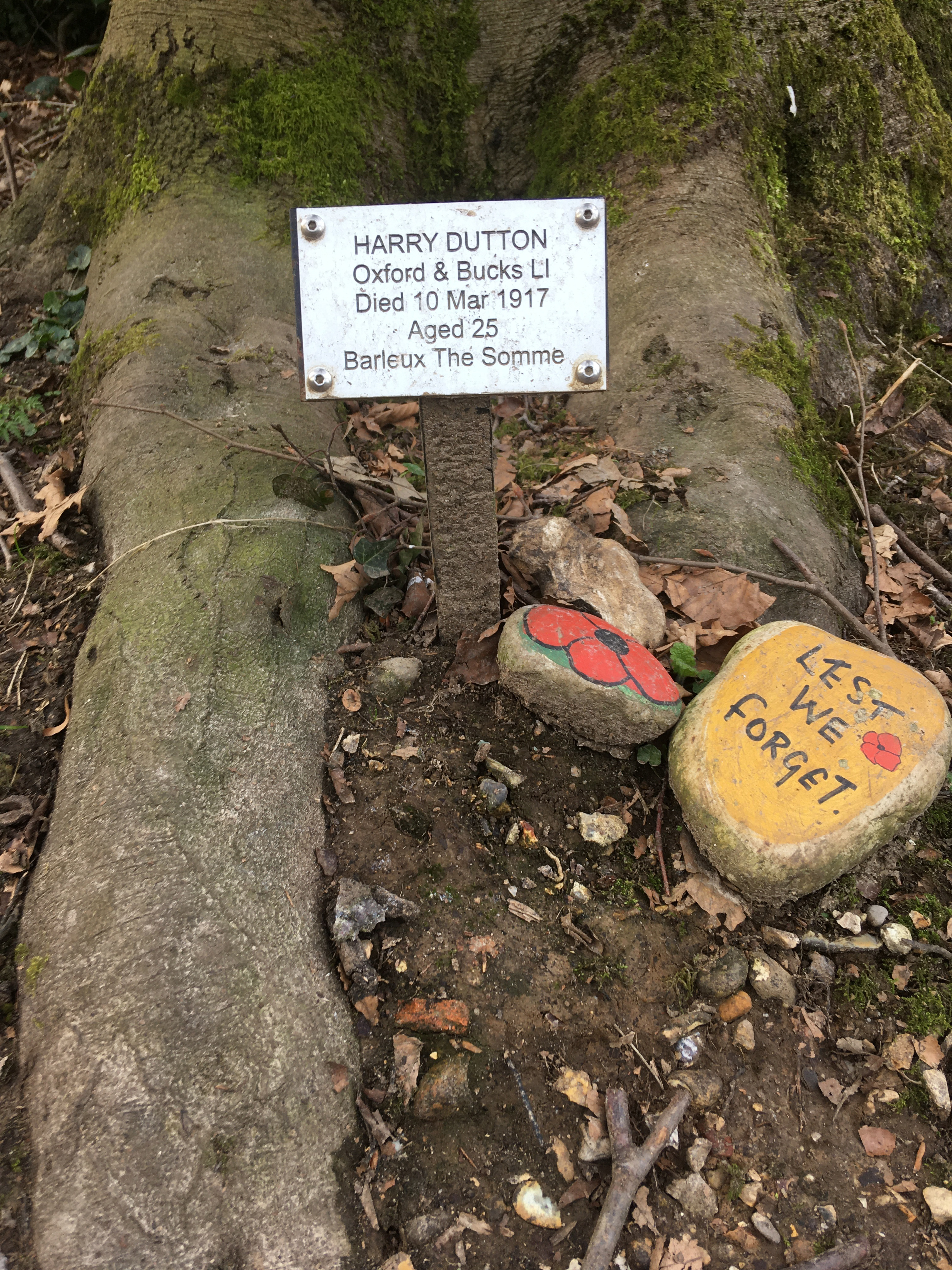 a plaque and memorial tree for First World War Oxford and Bucks Light Infantry soldier Harry Dutton
