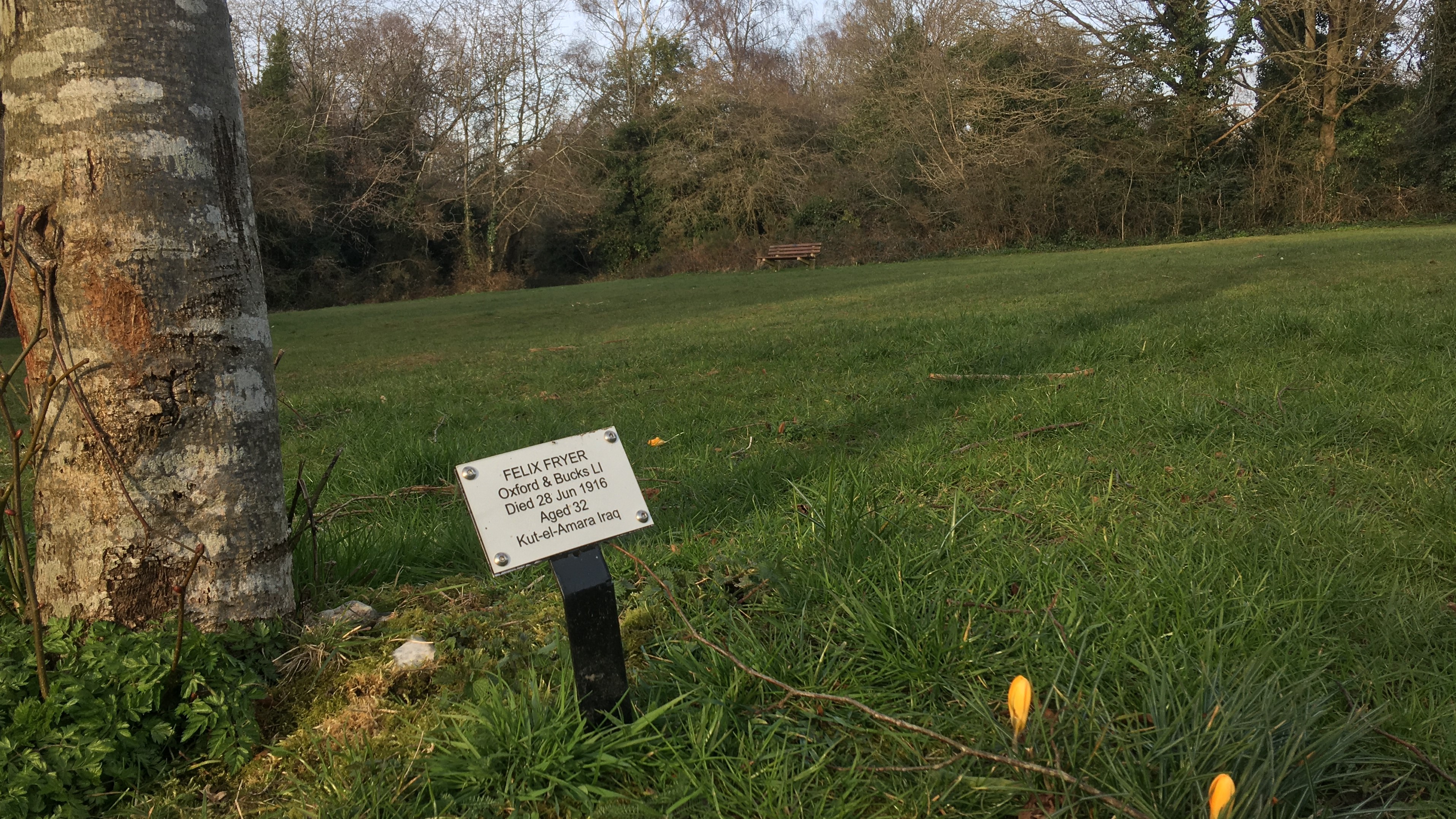 A tree in the village of Tylers Green dedicated to Felix Fryer