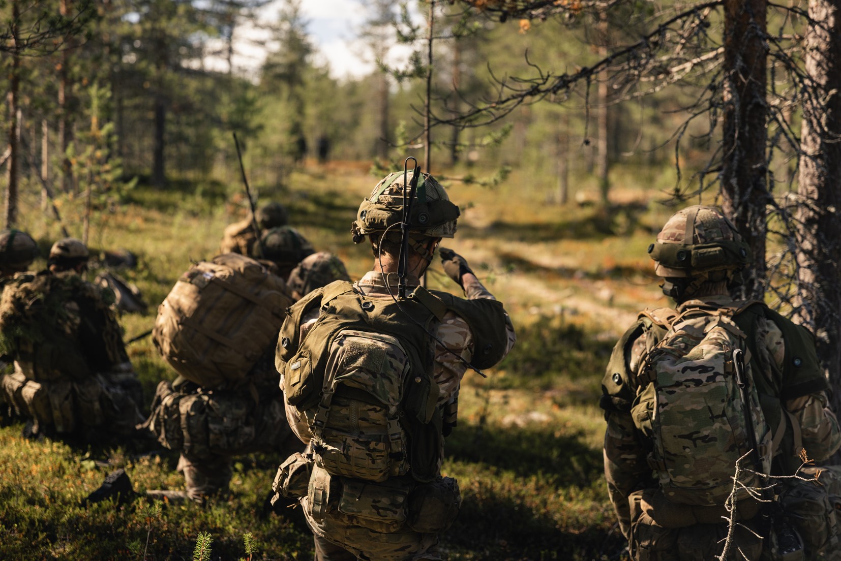 UK troops look through the woods on Exercise Vigilant