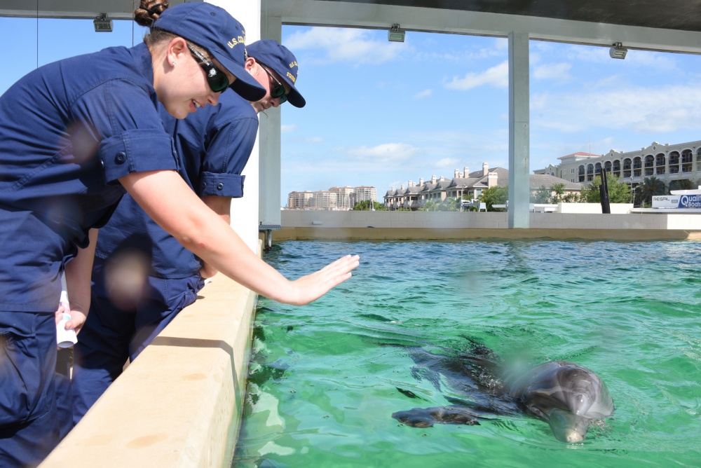 Members of the US Coast Guard visit Nicholas the dolphin at an aquarium in Tampa Bay, Florida (Picture: US Department of Defense).