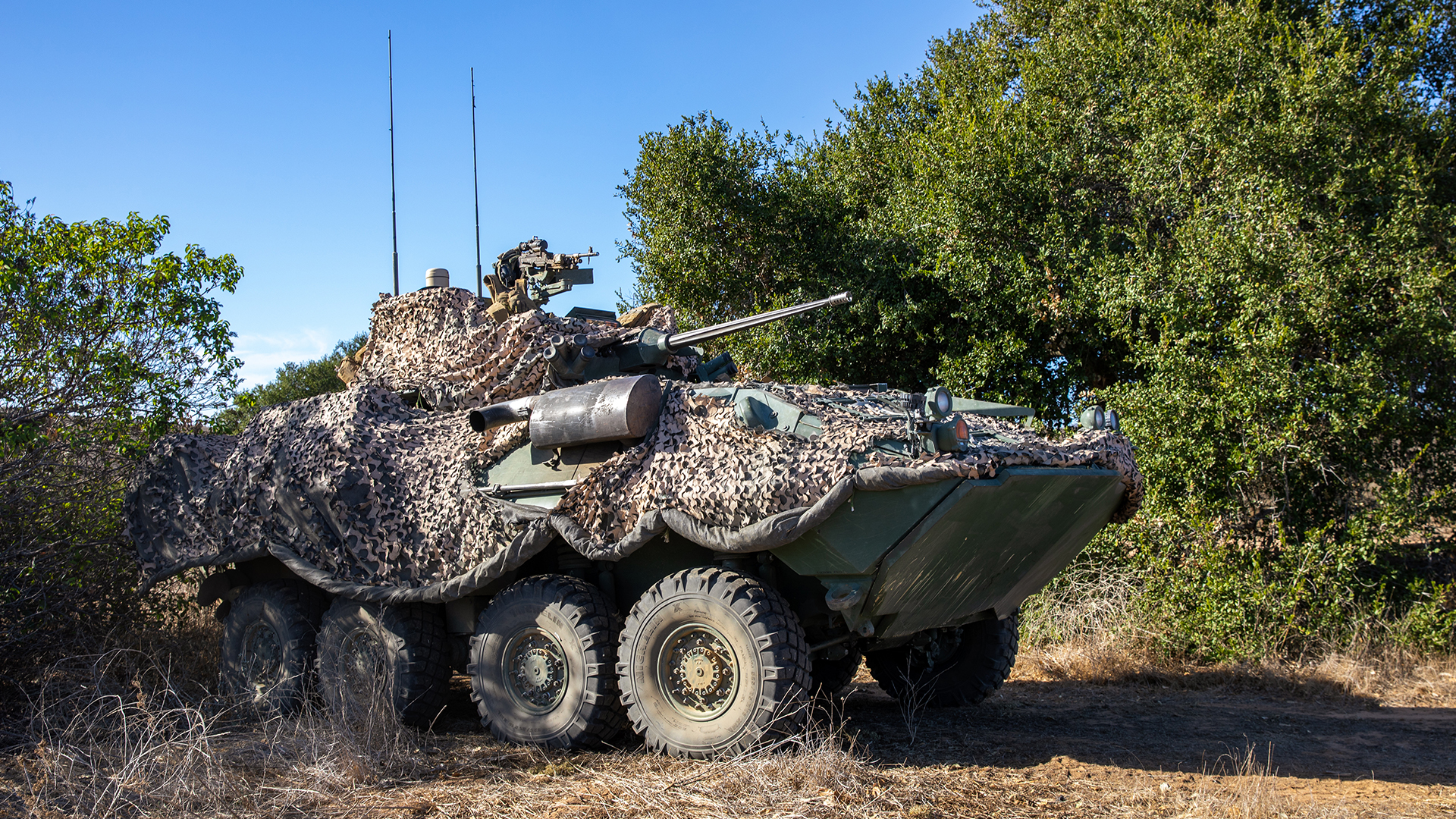 In contrast to the Boxer, it took the US Marine Corps just two years to put the LAV-25 into service
