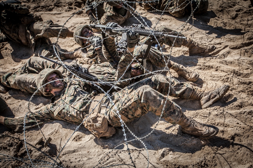 US marine recruits crawling through mud as they do the Crucible, the final part of their basic training