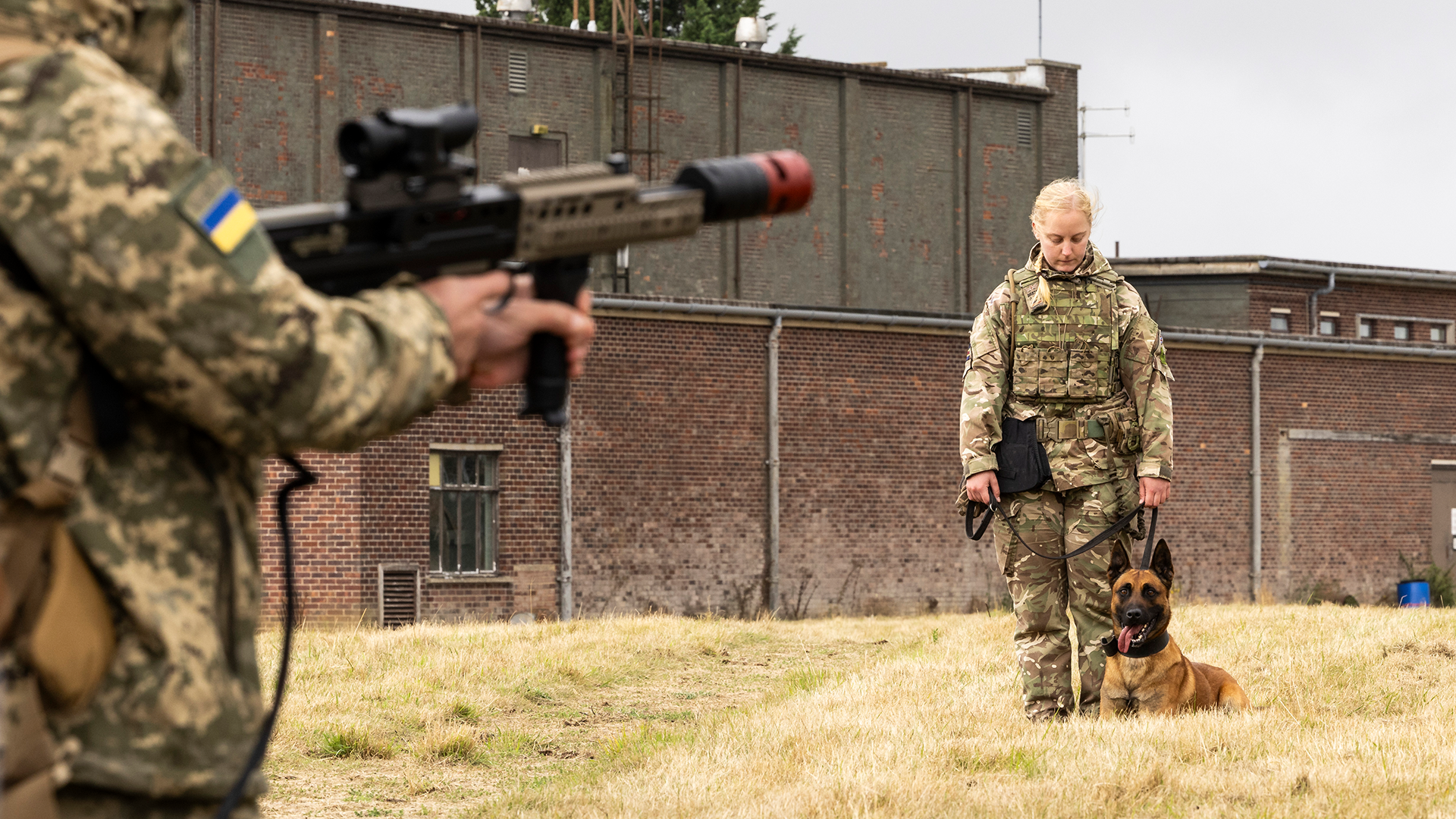 16 Ukrainian god handlers have been trained by the British Army on two courses this summer (Picture: MOD)