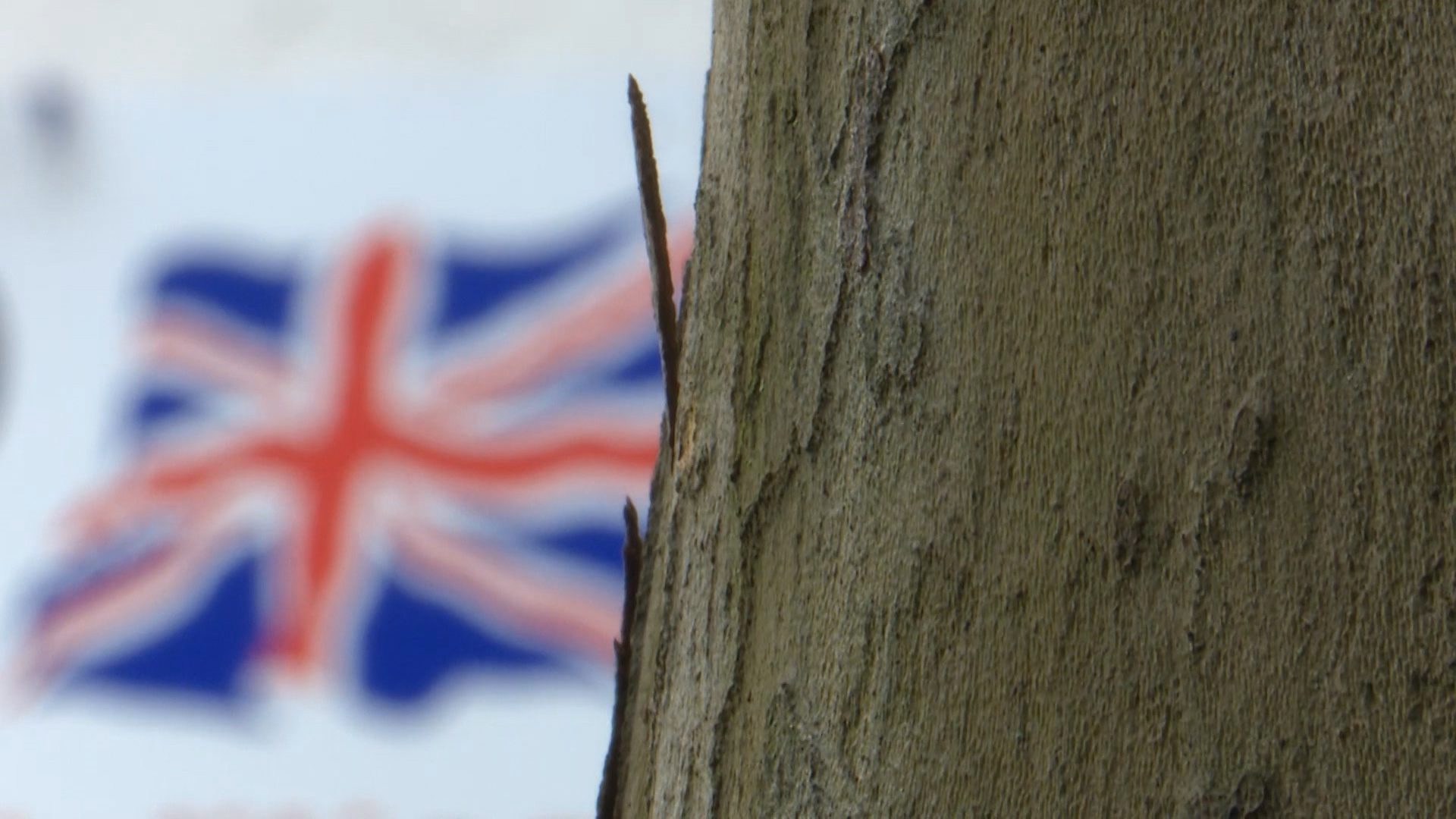 Union Flag logo of Little England shop behind tree.