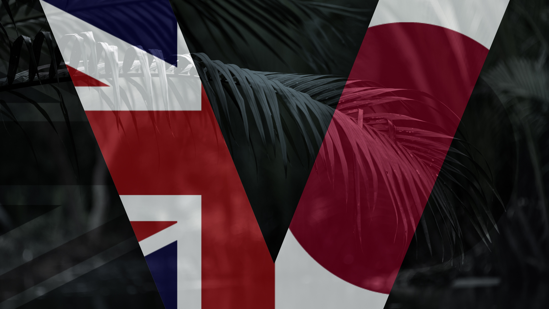 VJ Day no logo - Elaine Holtom graphic bfbs