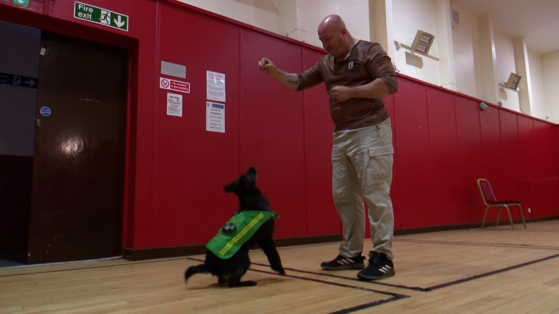 Veteran Gets Dog Tootsie From Charity A Veterans Best Friend In Training 09062021 CREDIT BFBS.jpg