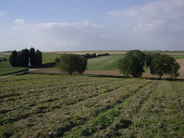 somme battlefield