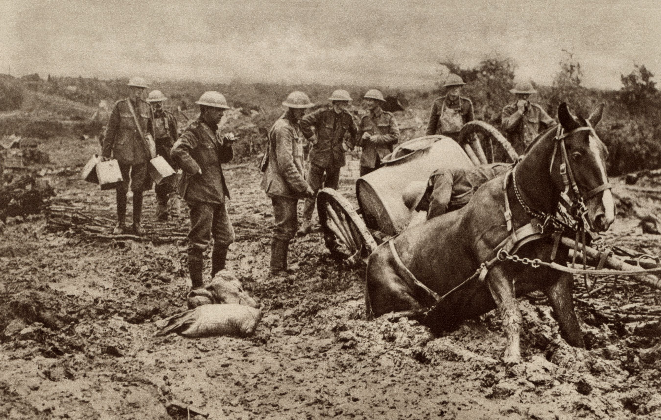 WW1 First World War Horse Flanders Mud Credit Shutterstock / Everett Historical