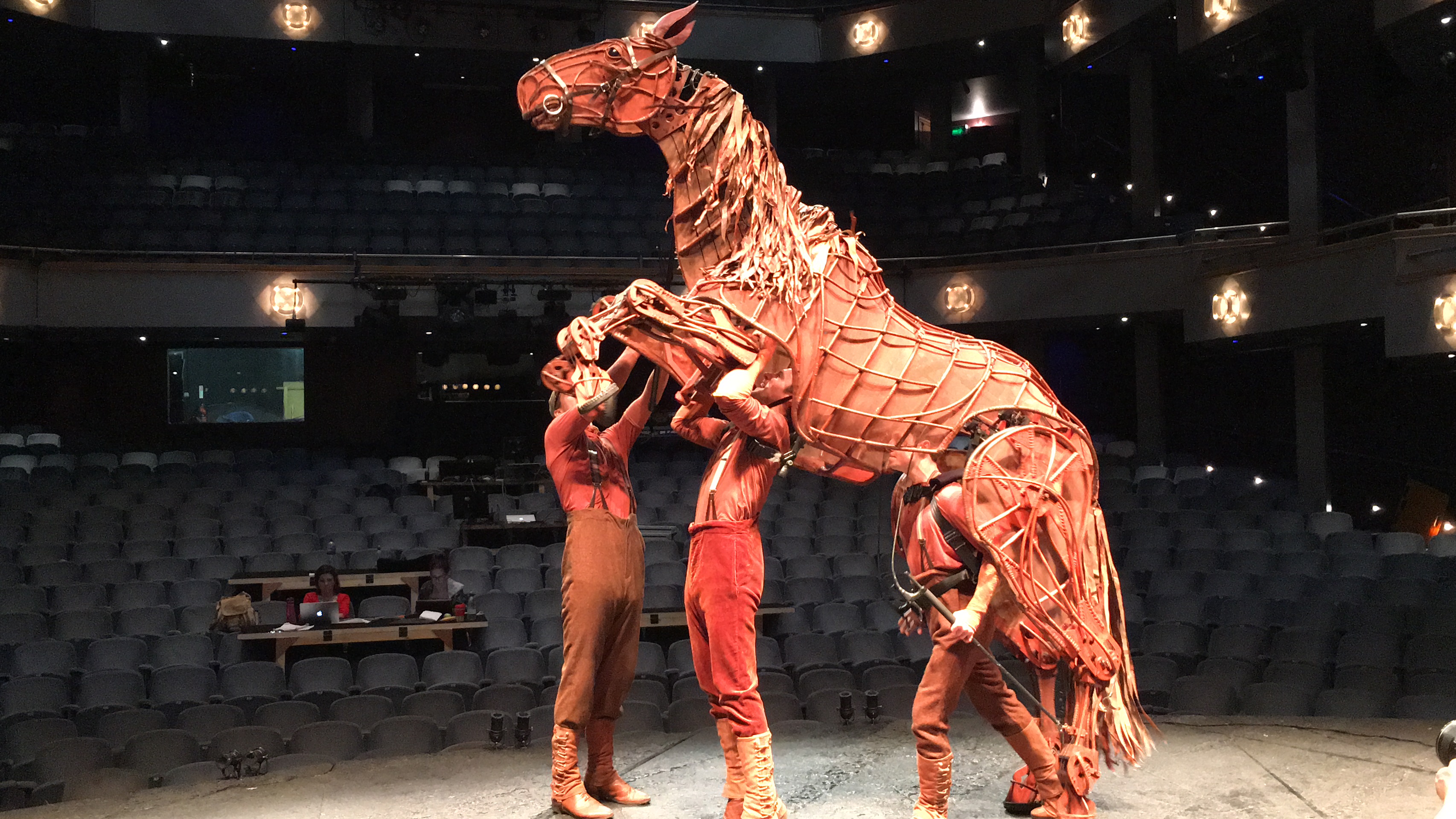 War Horse Rearing 
