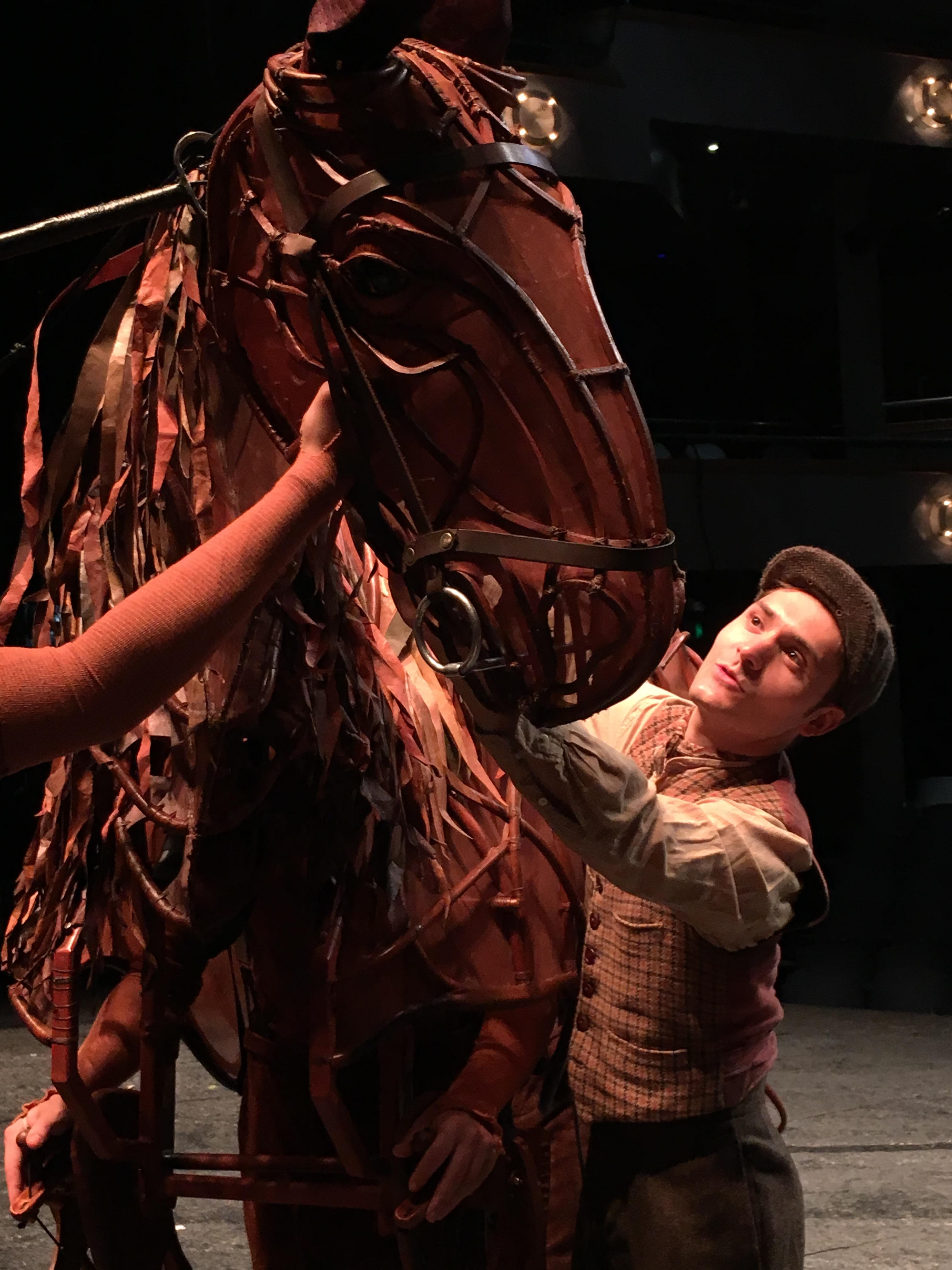 War Horse and Albert