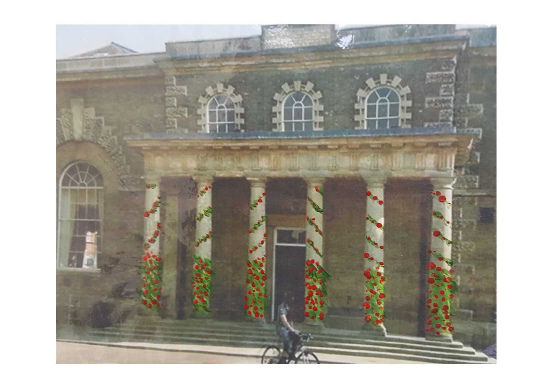 What It Will Look Like - Poppy Project