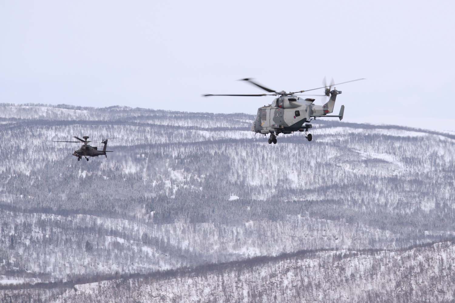 Cover Image: A Wildcat and an Apache conduct a training sortie together (Picture: Royal Navy).