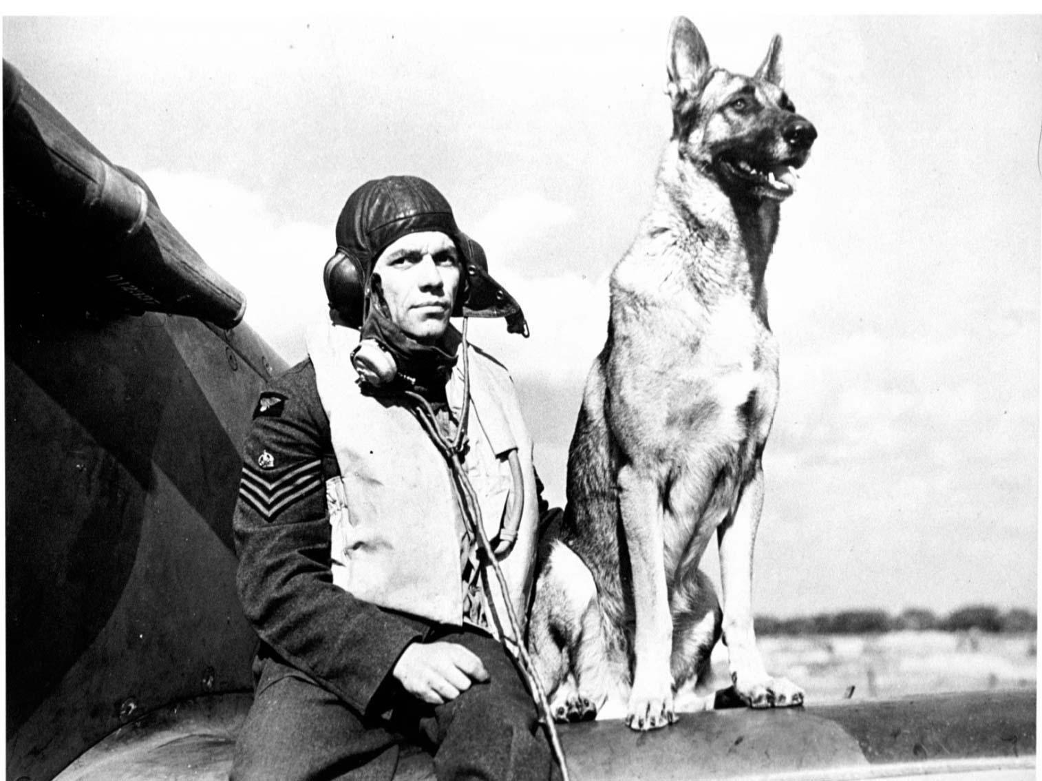 Wing Commander George Unwin during the Battle of Britain in 1940 with his dog Flash posing by a Spitfire