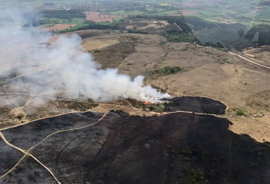 Woodbury Common Fire
