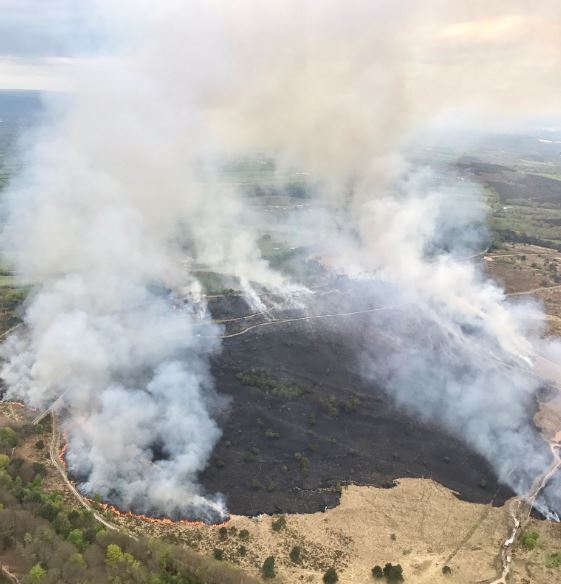 Woodbury Common Fire
