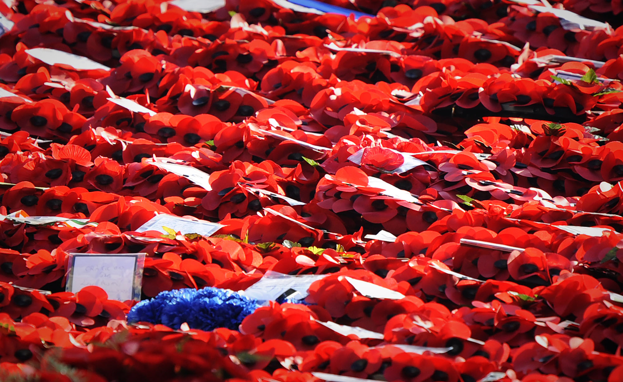 Poppy wreaths