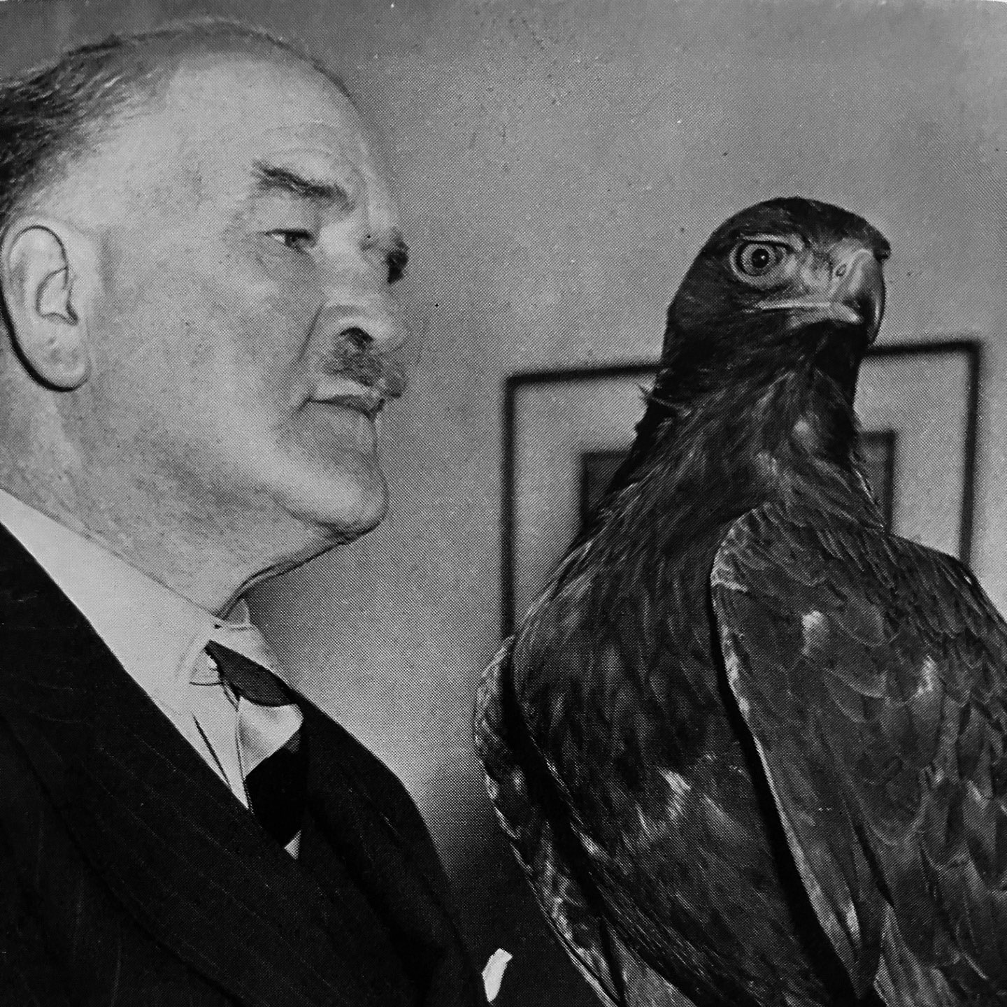 A picture of Capt Knight and his golden eagle Mr Ramshaw from the title page of book All British Eagle CREDIT Knight family