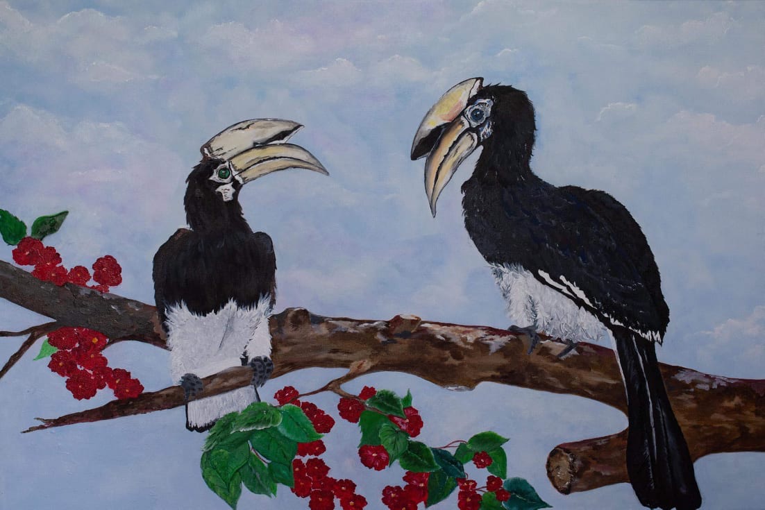 angela bage Hornbills.JPG 