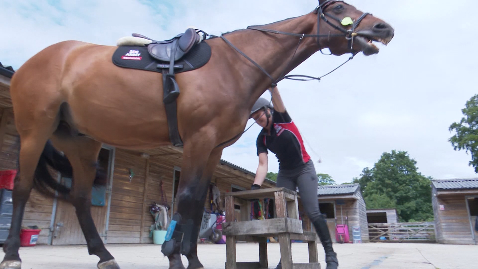 army equitation credit bfbs 20072020.jpg