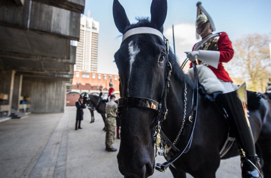 Household Cavalry's best turned out soldier?