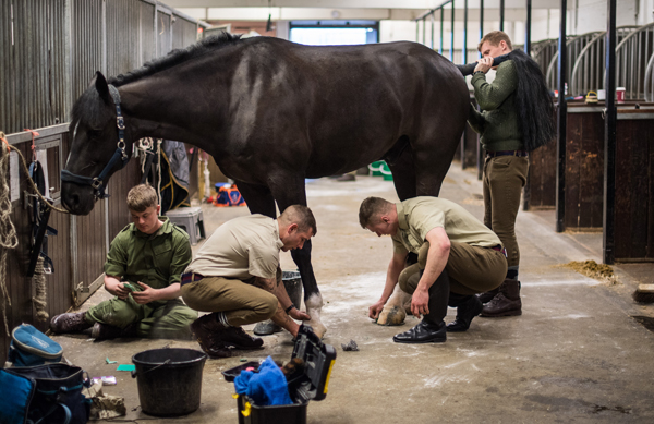 Household Cavalry's best turned out soldier?