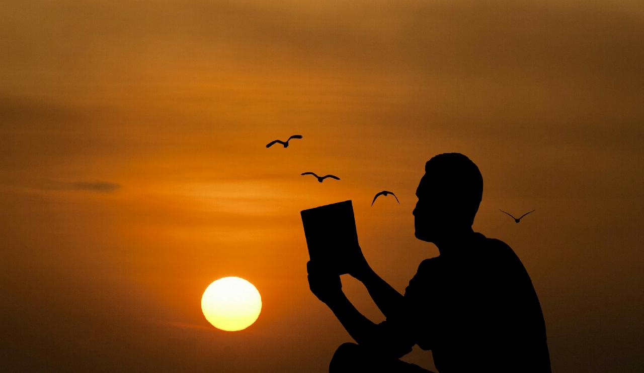 picture of a man reading a book in front of a sunset