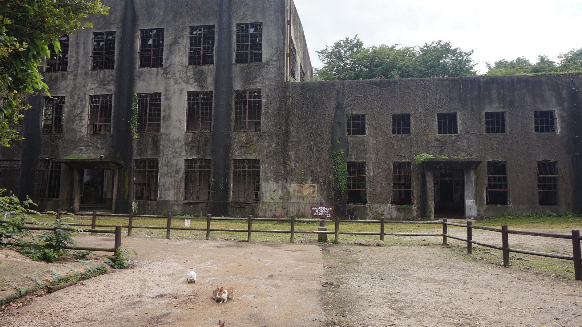 Abandoned Power Plant on Bunny island