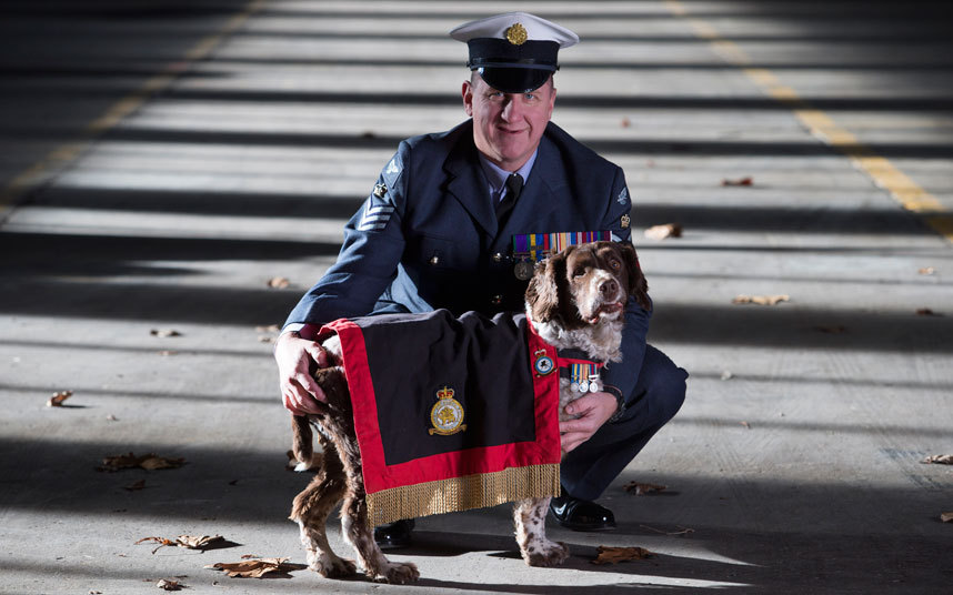 Buster The Special Spaniel That Saved 1,000 Lives Passes Away Buster The Special Spaniel That Saved 1,000 Lives Passes Away