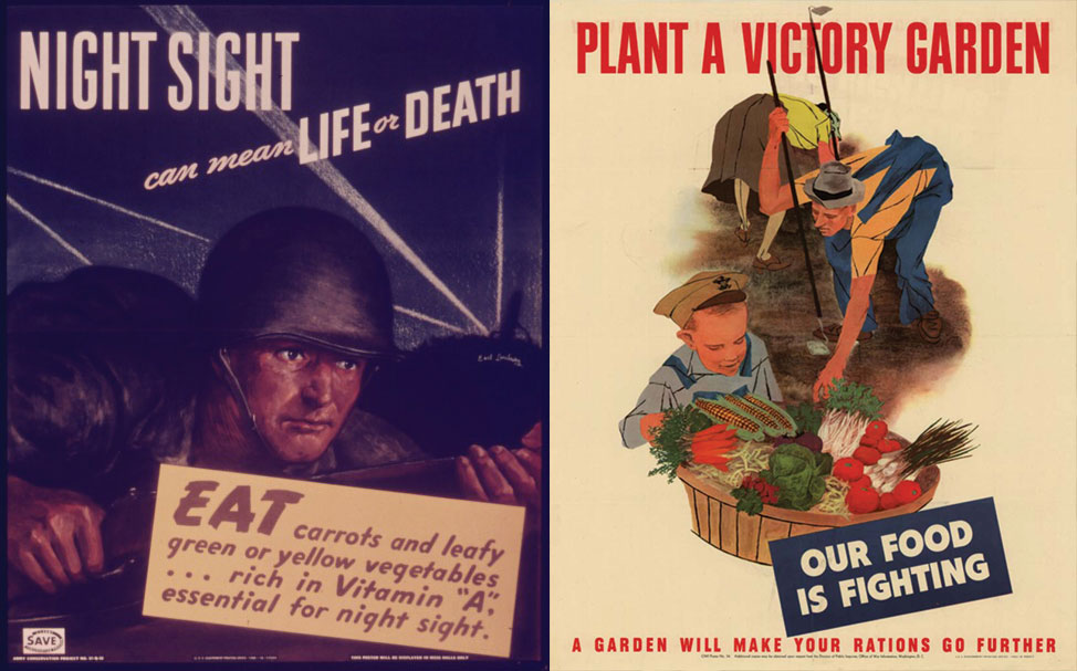 How British Intelligence Popularised Myth Carrots Improve Eyesight