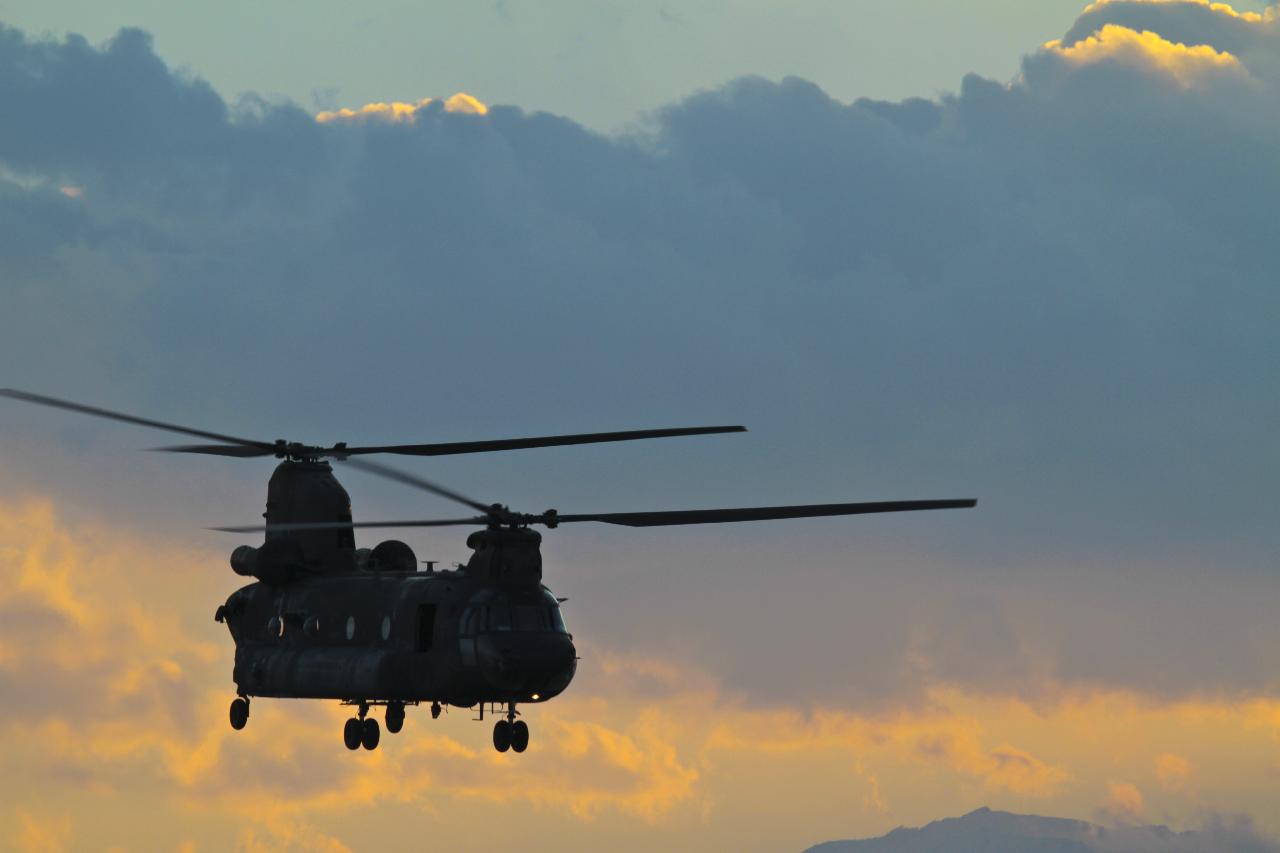 Chinook