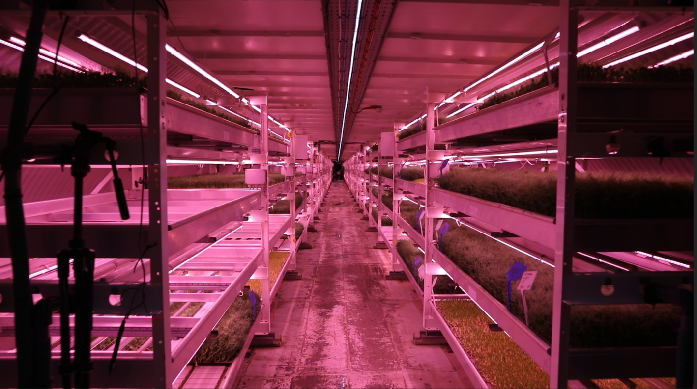 Clapharm Farm Bunker. Copyright BFBS 