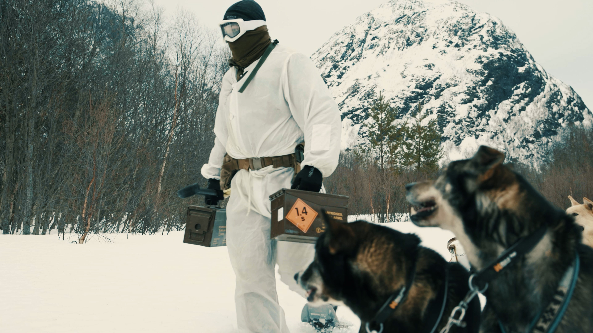 commandos looked at how sledges pulled by huskies could help deliver supplies to troops 28032024 CREDIT Royal Navy