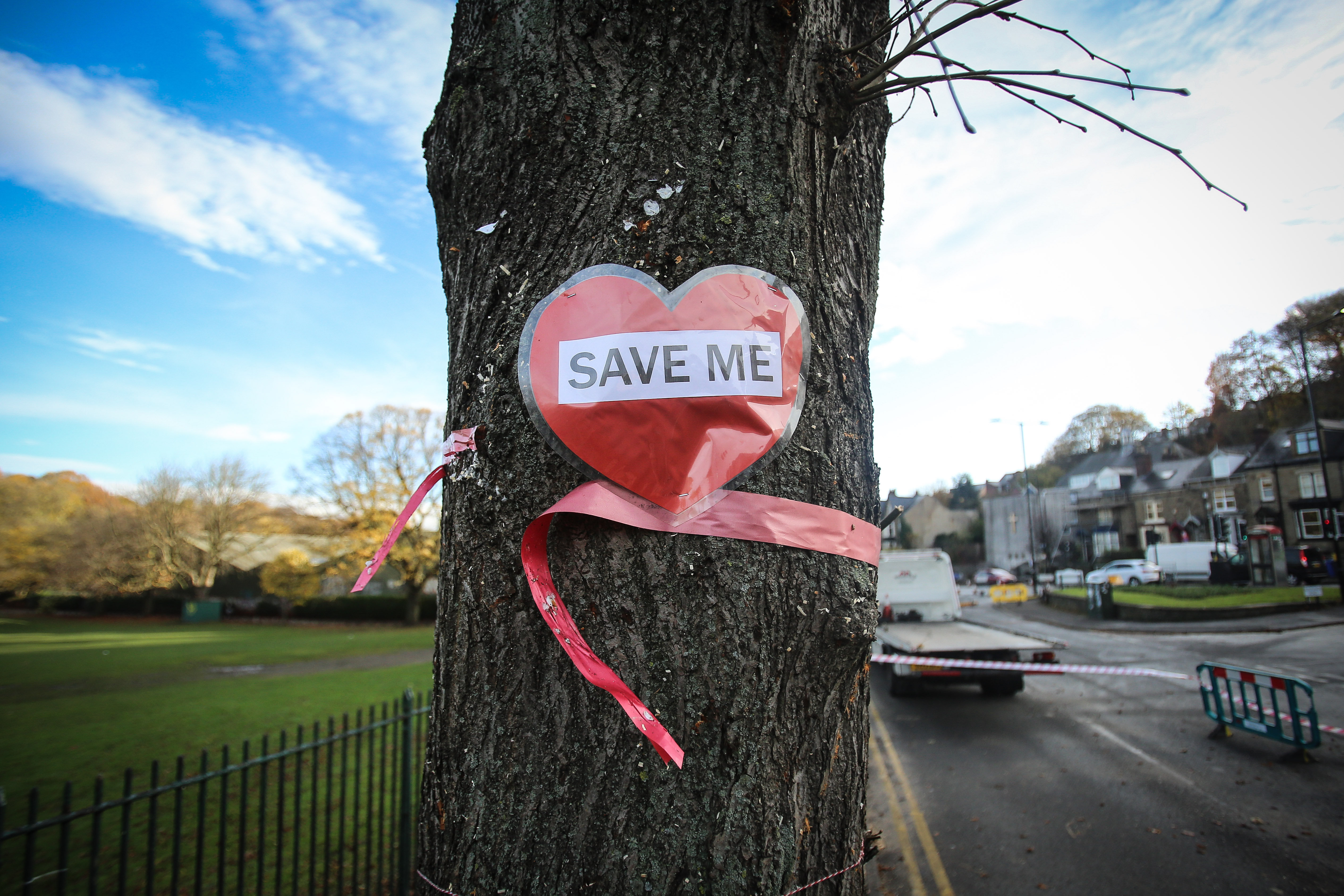 Sheffield Memorial Trees 